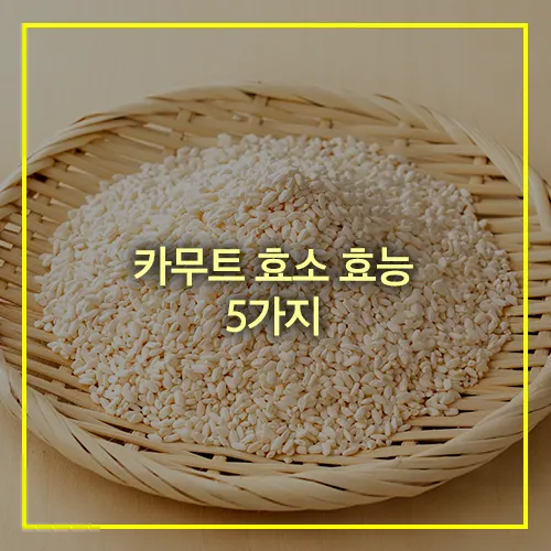 카무트 효소 효능 5가지