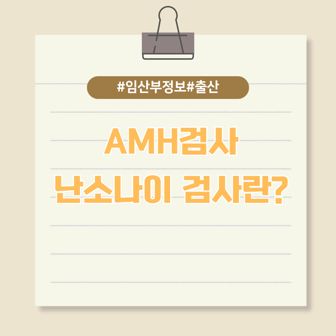 임신 가능성에 대한 중요한 정보, 난소 나이 검사 (AMH검사)