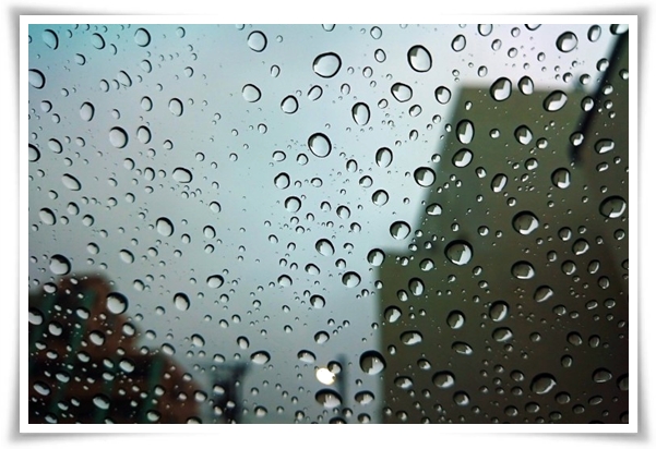 웰빙 &quot;2025년 장마&quot; 폭염과 폭우? 기상청 전망부터 대비까지 총 정리!