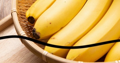 바나나 효능 부작용