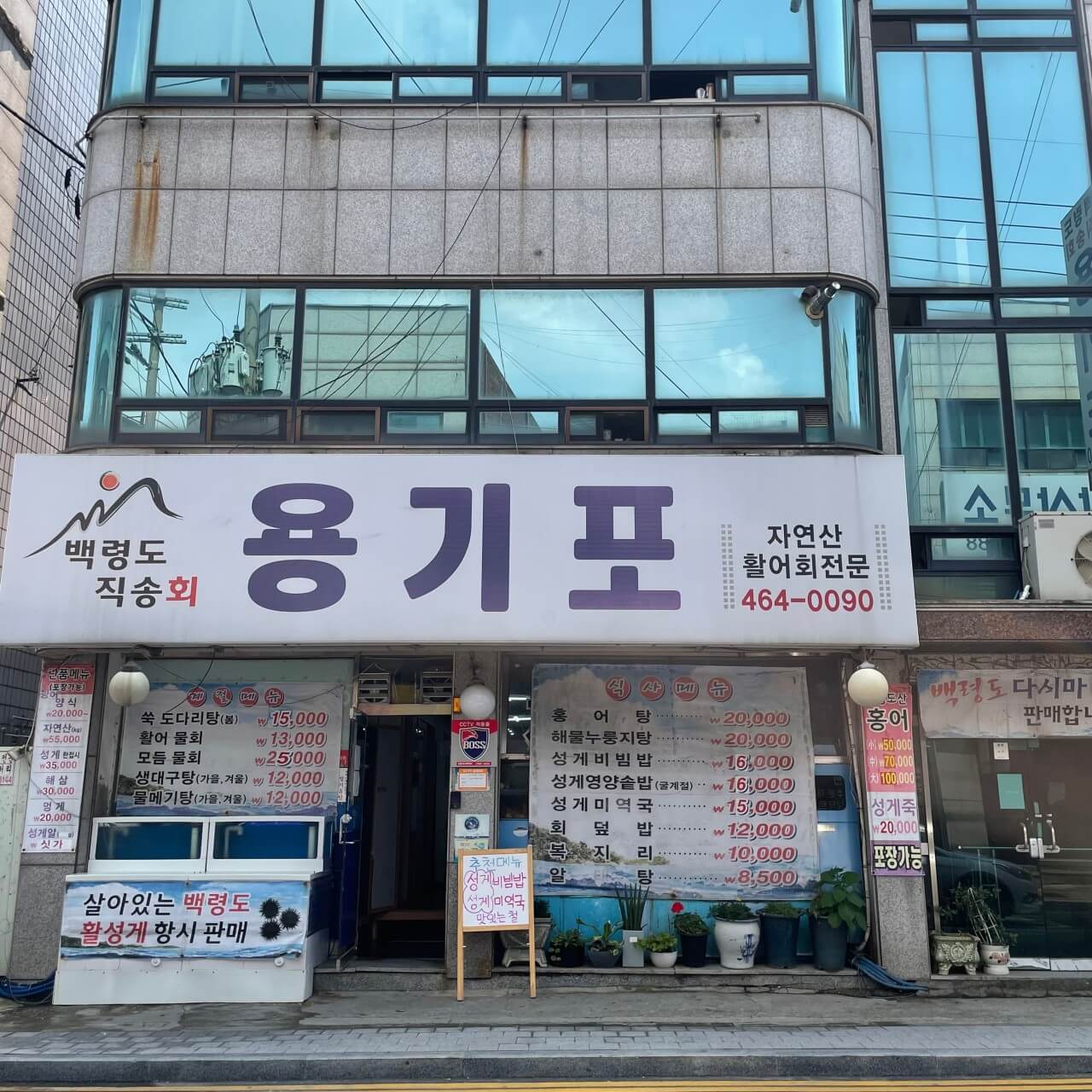 6시내고향 인천 남동구 백령도 자연산 해산물 우니맛집 용기포 횟집 (용기포 씨푸드 주문방법)