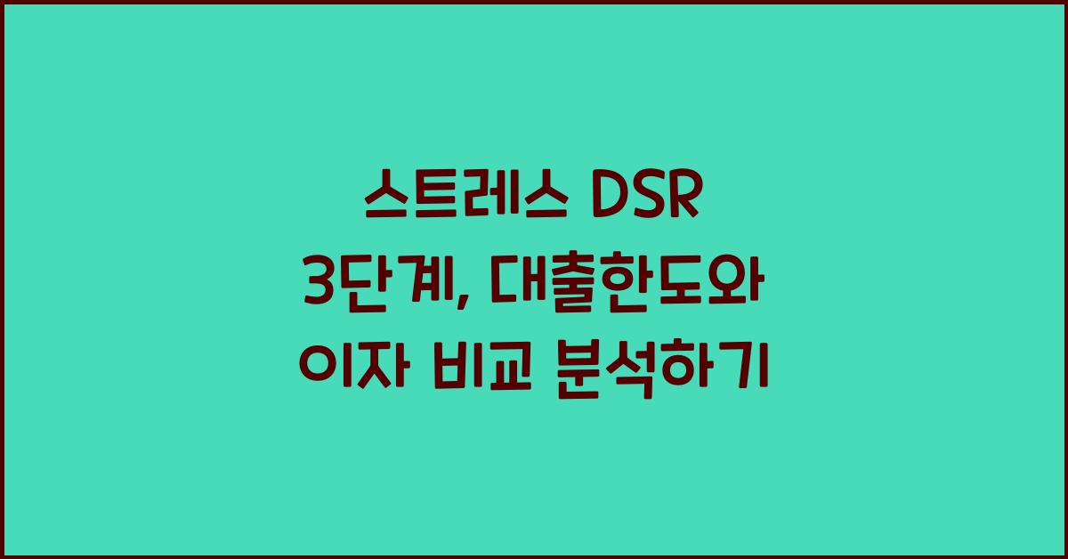 스트레스 dsr