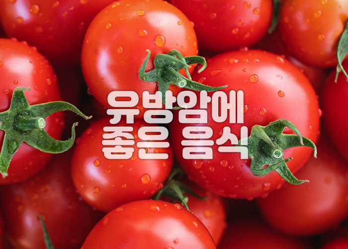 싱싱한 방울토마토에 물방울이 맺혀있다