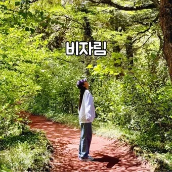 제주 비자림 숲속 산책로 여름 피서지 추천 장소_24