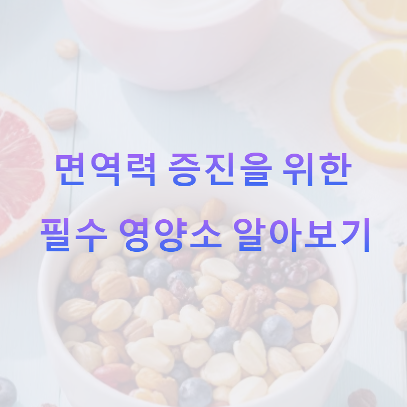 면역력 증진을 위한 필수 영양소 알아보기