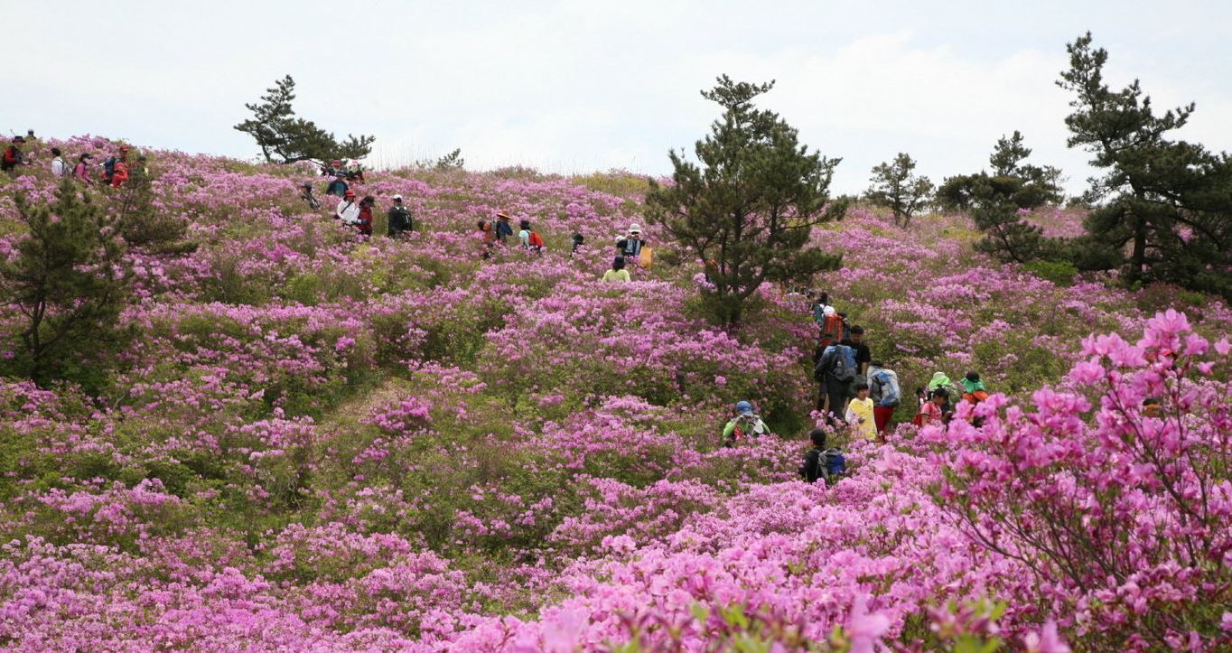 보성 가볼만한곳 베스트10