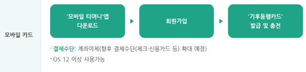 기후동행카드