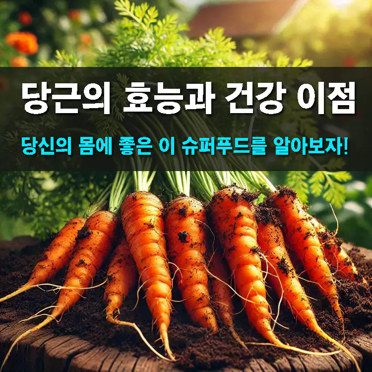 당근의-효능과-부작용에-대한-오해-바로잡기
