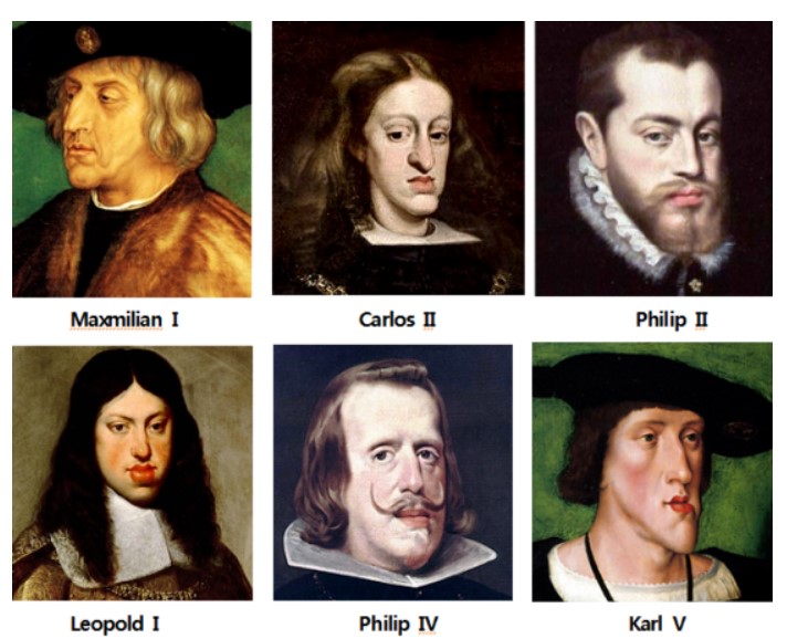 합스부르크 가문