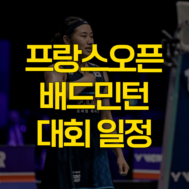 프랑스오픈-배드민턴-대표사진