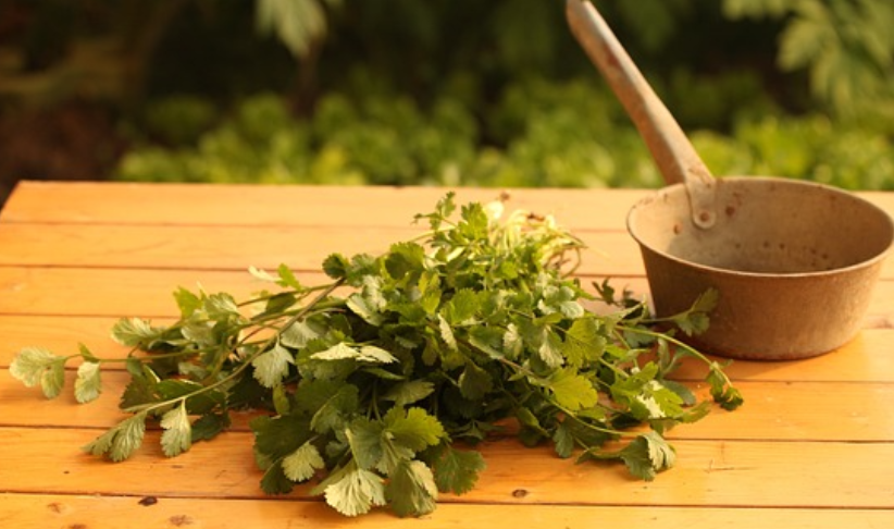 고대 이집트의 뇌 수술 (미라 제작 과정에서 발전한 해부학)