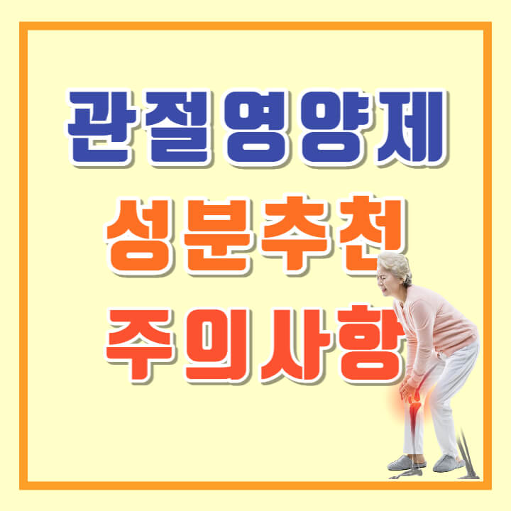 관절 영양제 성분 추천