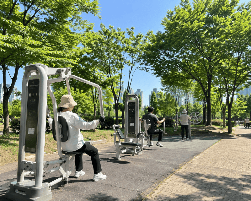 한국의 운동 문화