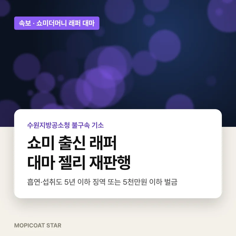 쇼미더머니 래퍼 대마 불구속 기소 뉴스 카드