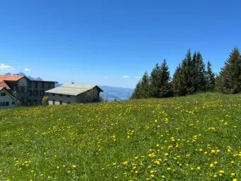 스위스 리기산 당일치기 유람선산악열차하이킹 완벽 코스 후기로 안내_8