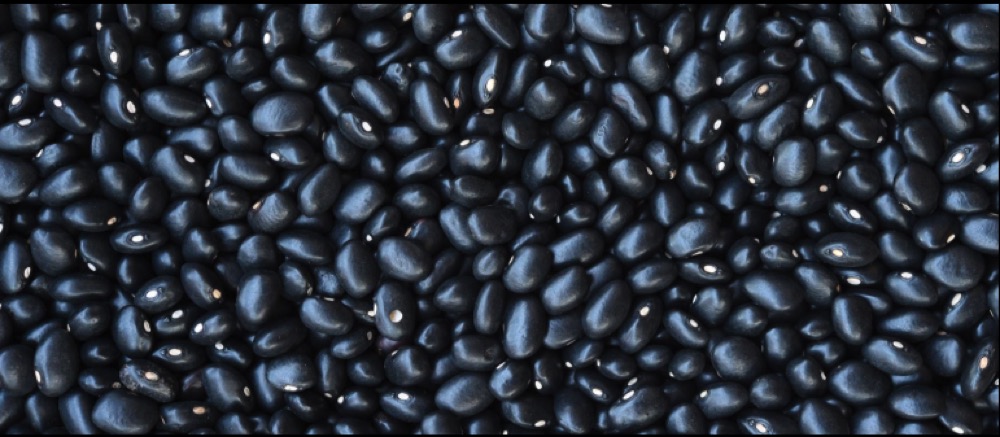 검은콩 이미지