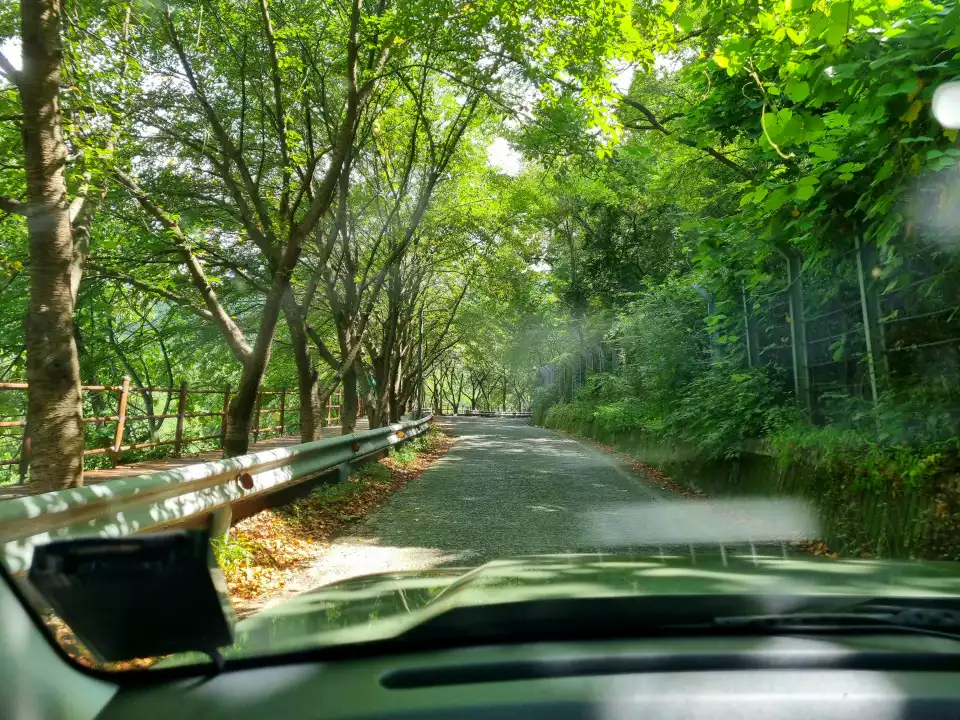 캐스퍼 터보로 이 정도 오르막은 가뿐합니다.