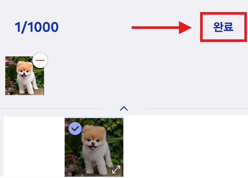 방법 10: 원하는 사진 선택하고 완료하기