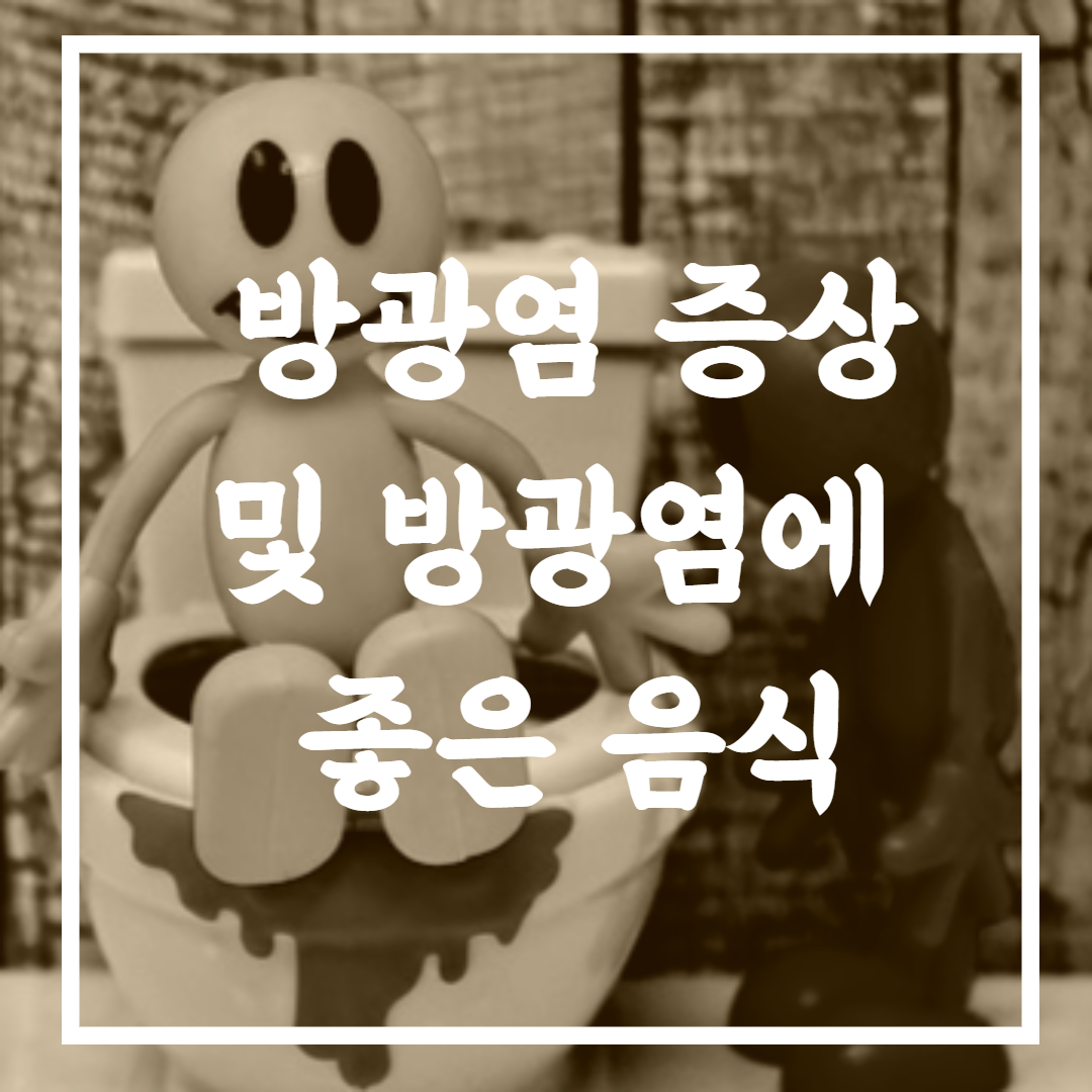 방광염에 좋은 음식