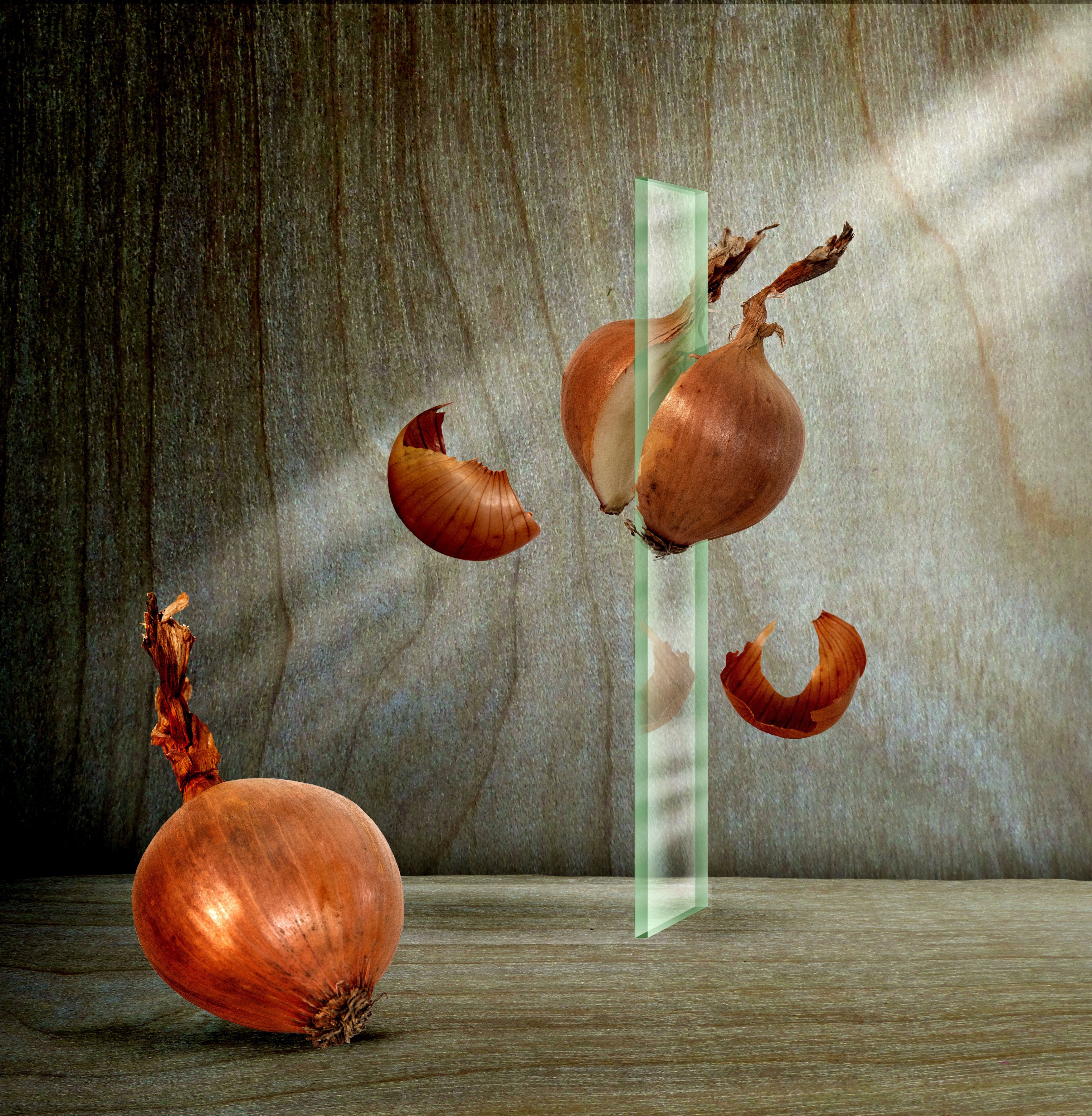 양파껍질 흰머리 염색 효과