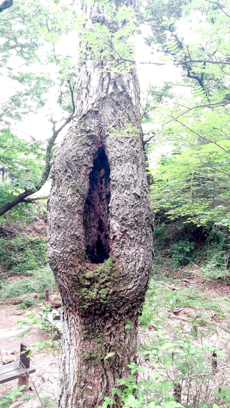 북한산둘레길 도봉옛길