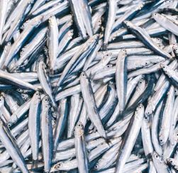 불포화지방산 음식 효능 종류 고기