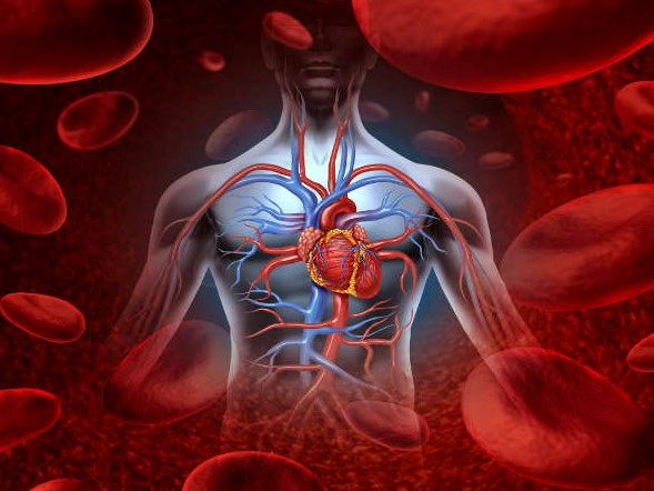 혈액순환에 좋은 운동