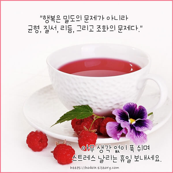 행복은