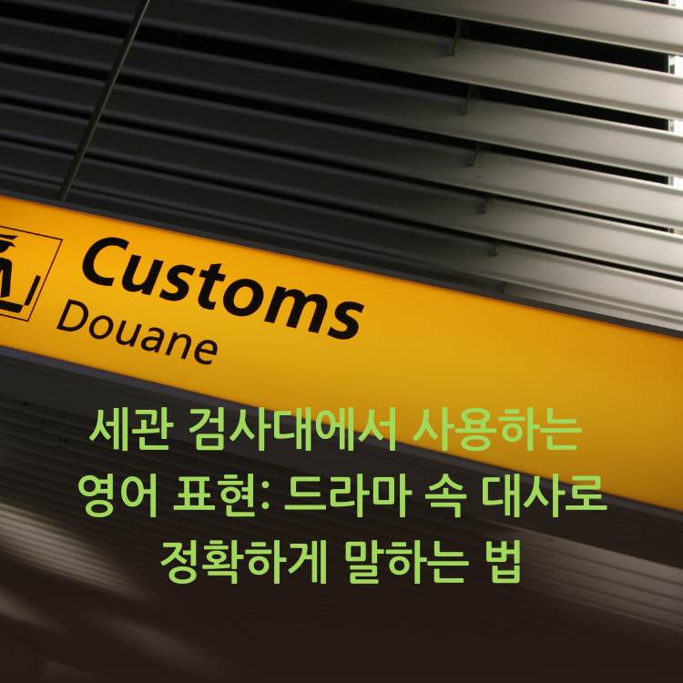 세관