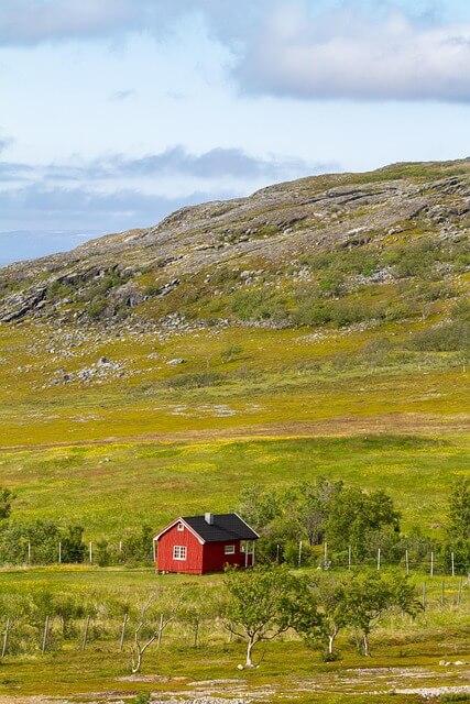 임플란트 종류 완전 정복