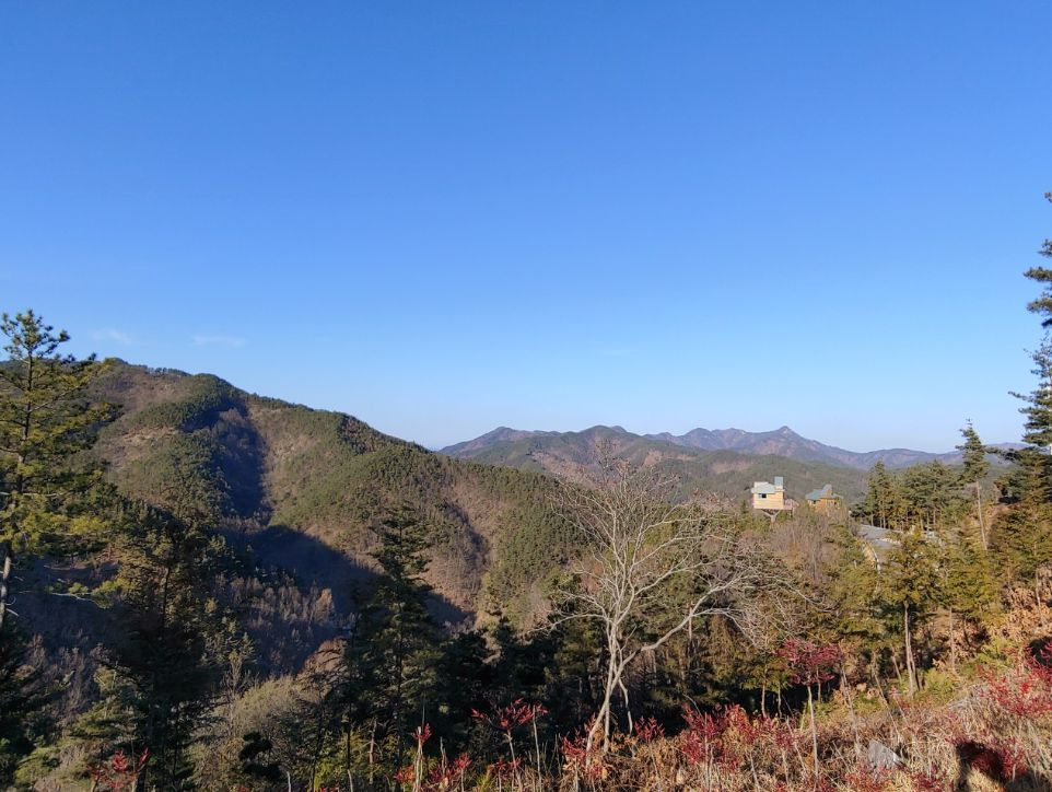 무주향로산자연휴양림