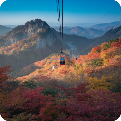 내장산국립공원(케이블카) 가상 이미지