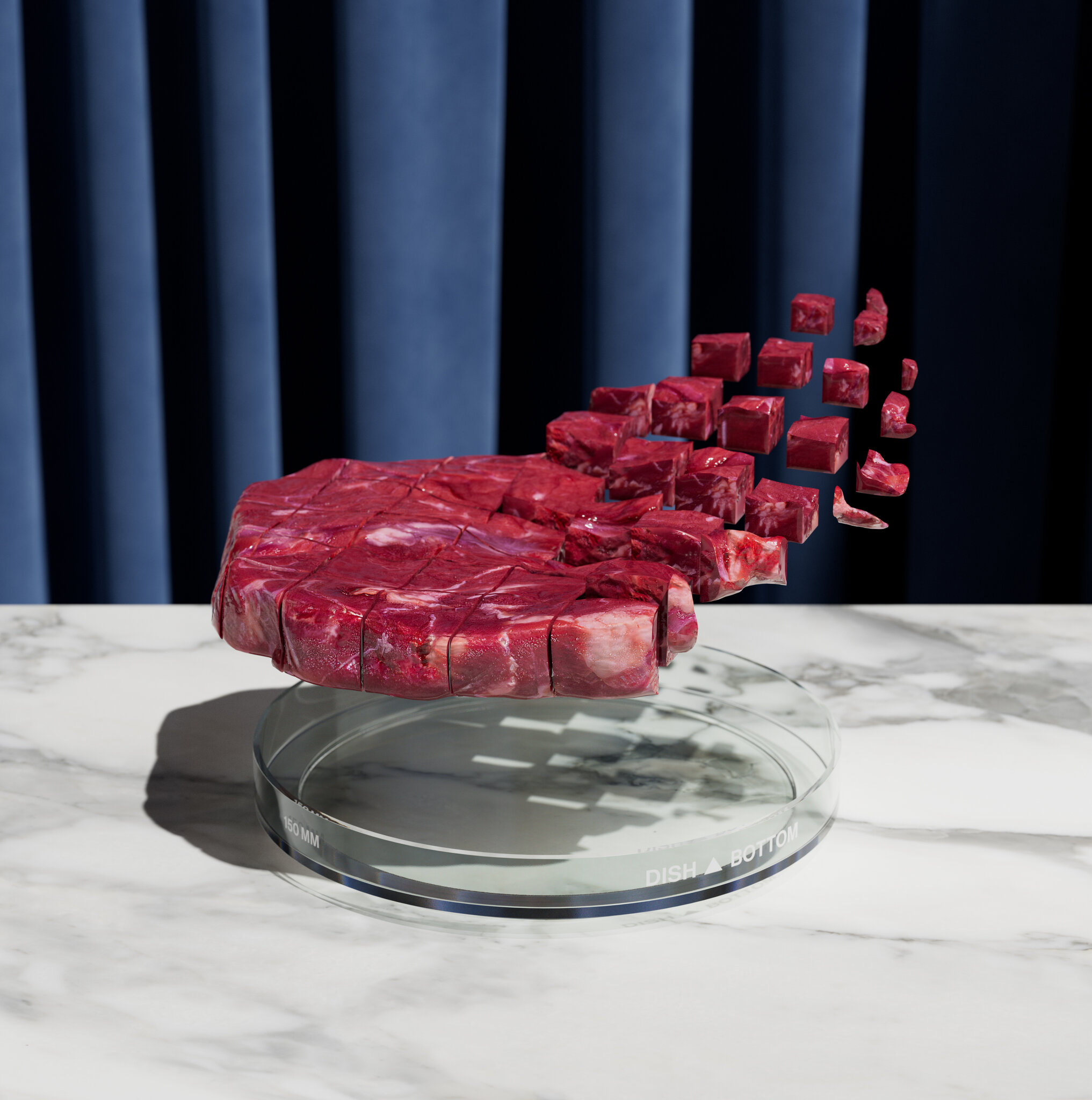 배양육과 식품의 미래: 죽이지 않고 먹는 미래