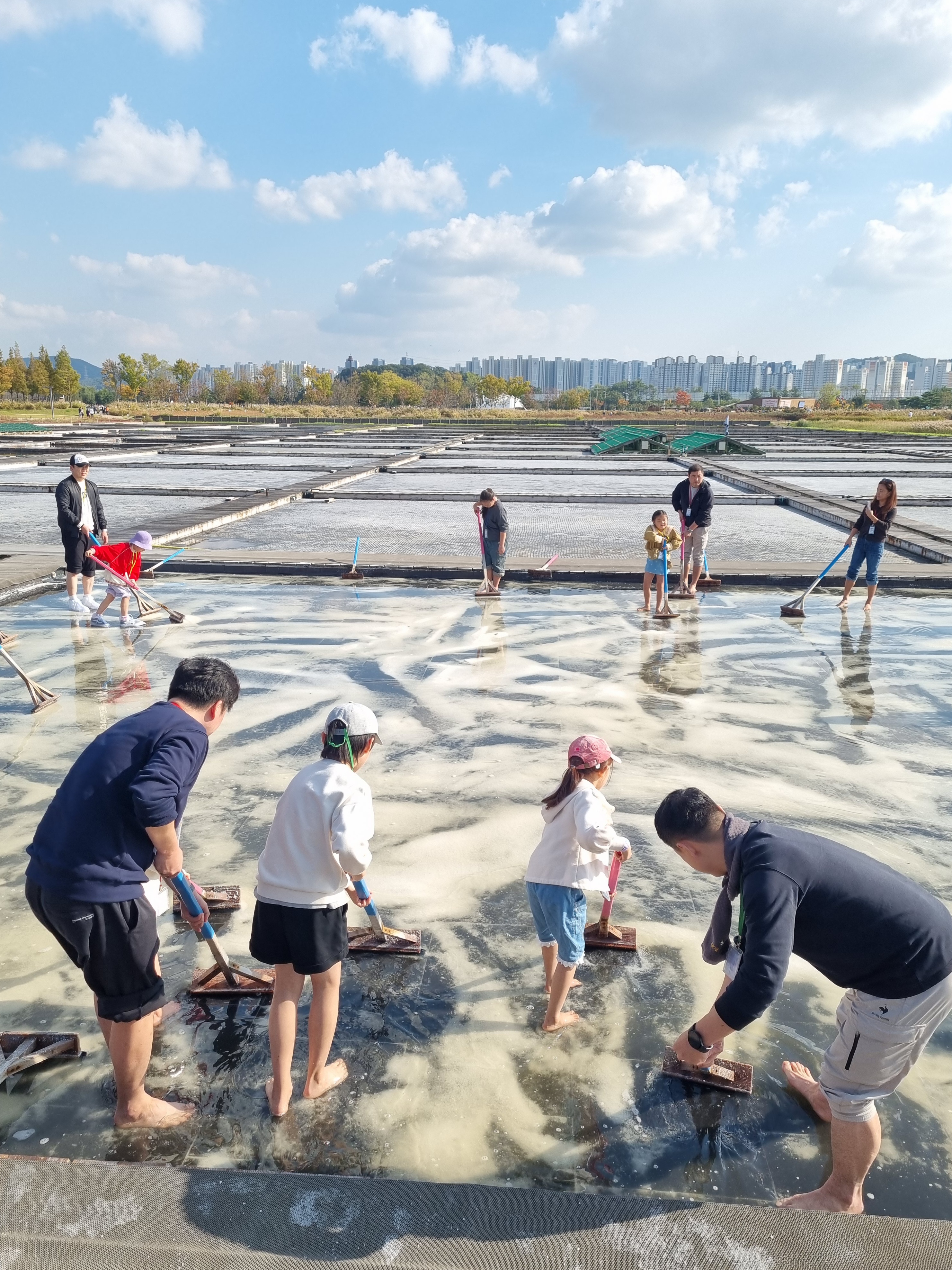 시흥 갯골생태공원 가을 나들이 후기-염전체험