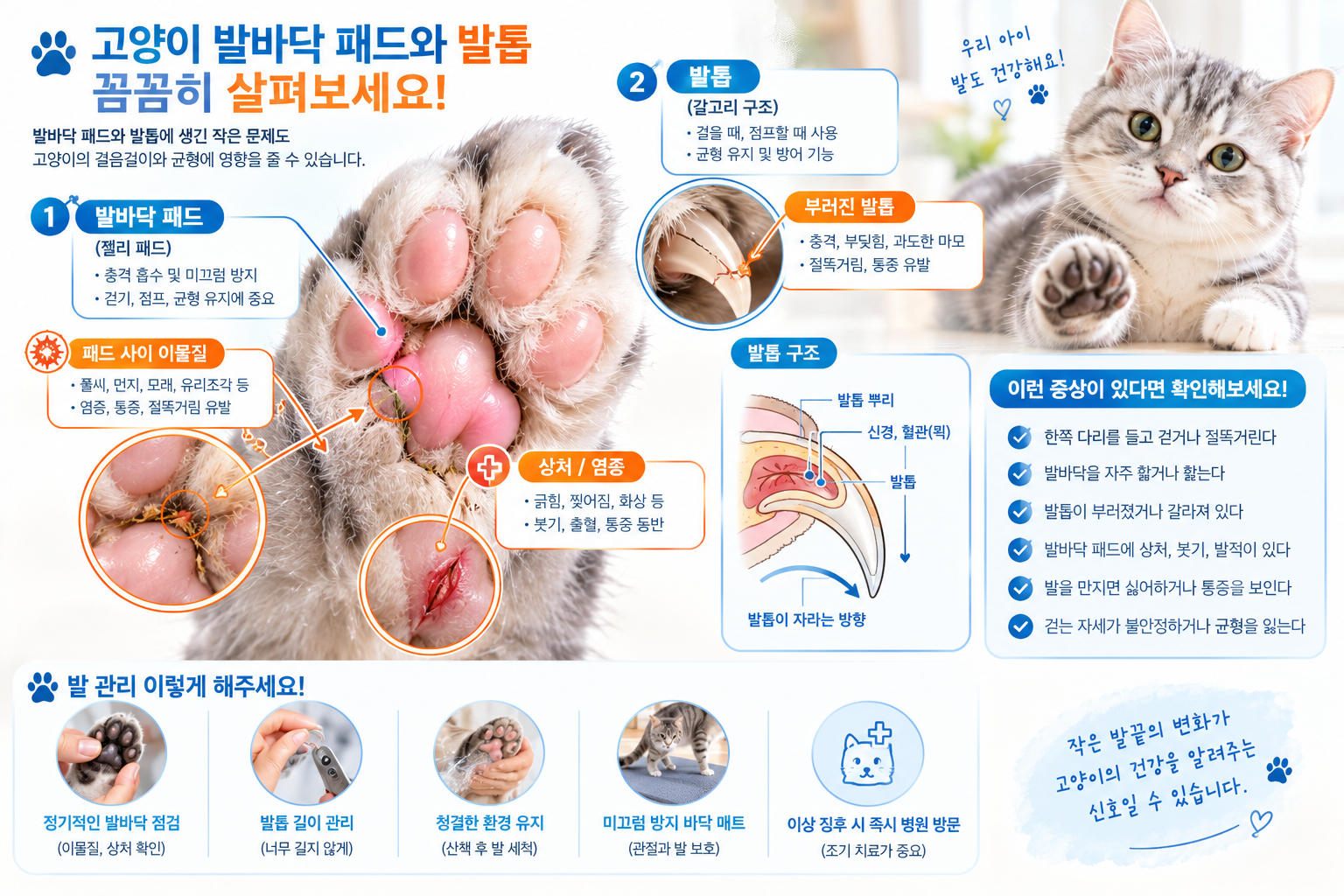 고양이 발 절뚝거림 원인 발바닥 패드 관찰