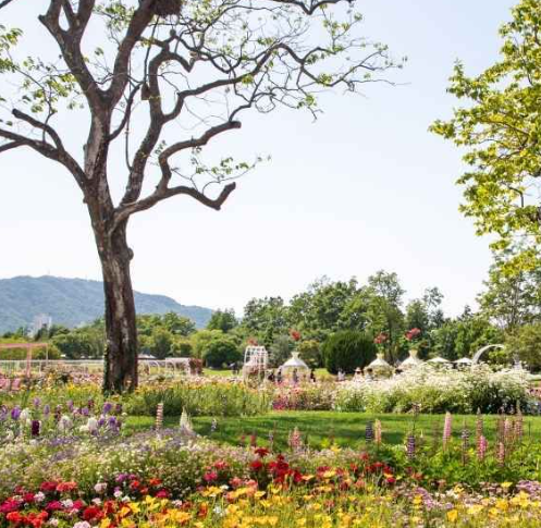 순천 가볼만한곳 베스트10