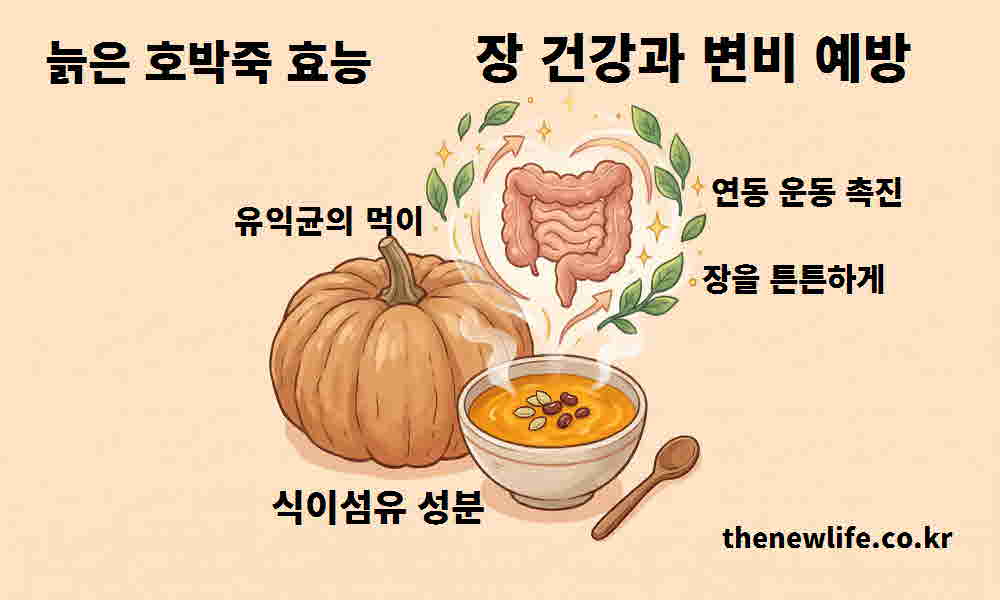 늙은 호박죽 효능 장 건강 변비 예방
