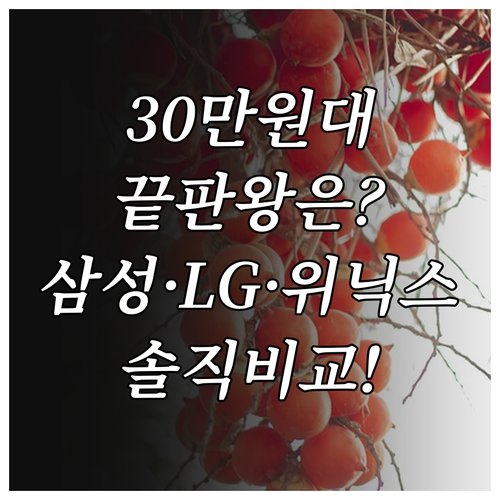 삼성 블루스카이 위닉스 타워 LG 퓨..