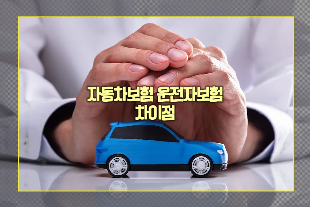 자동차보험 운전자보험 차이점