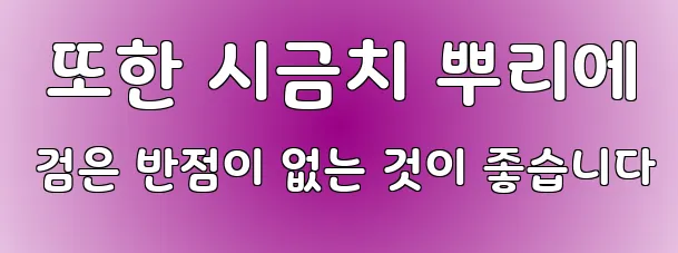  또한 시금치 뿌리에 검은 반점이 없는 것이 좋습니다