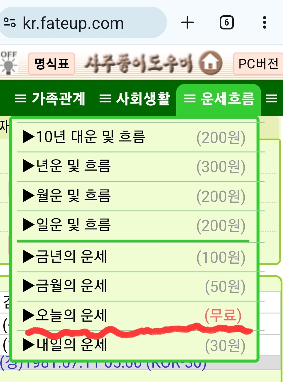 사주풀이 도우미 오늘의 운세