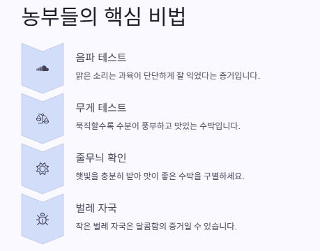 맛있는 수박 고르는 방법: 보관법,효능,화채·주스만드는 법