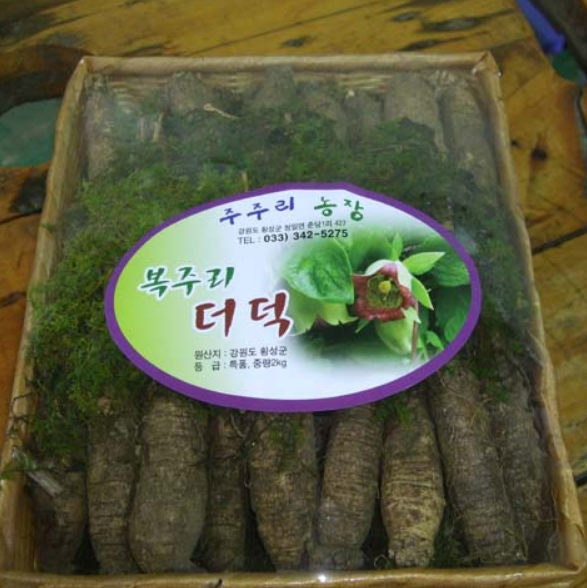 6시내고향 강원 횡성 '더덕' 주주리농장 택배 온라인 주문 방법 농장 연락처3
