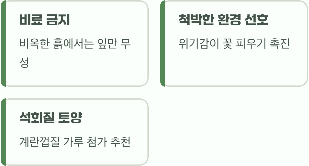 척박한 땅을 사랑하는 반전 매력