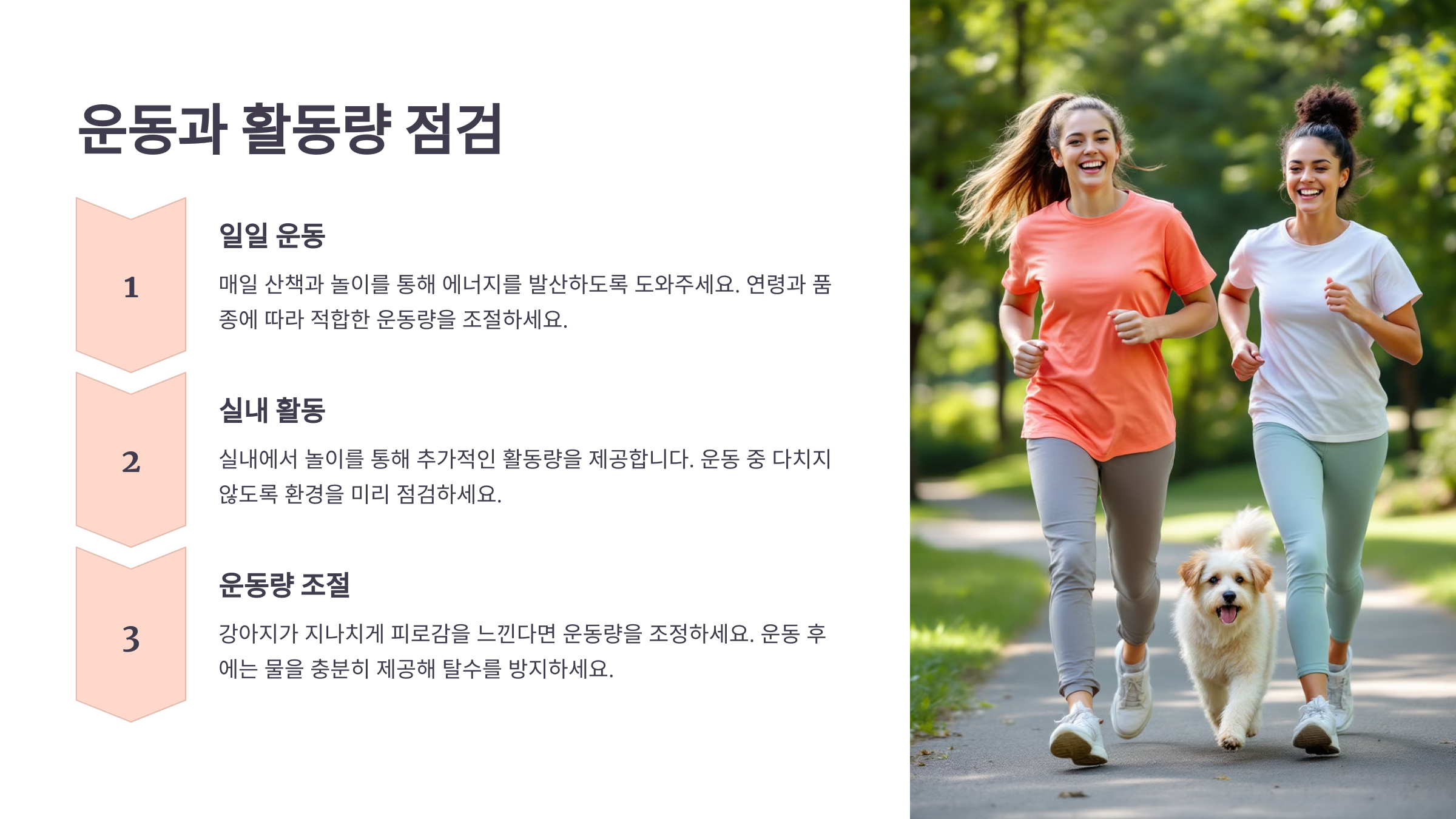 운동과 활동량 점검