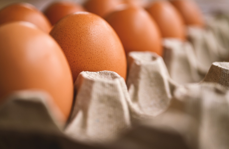 계란을 활용한 5가지 아침 레시피