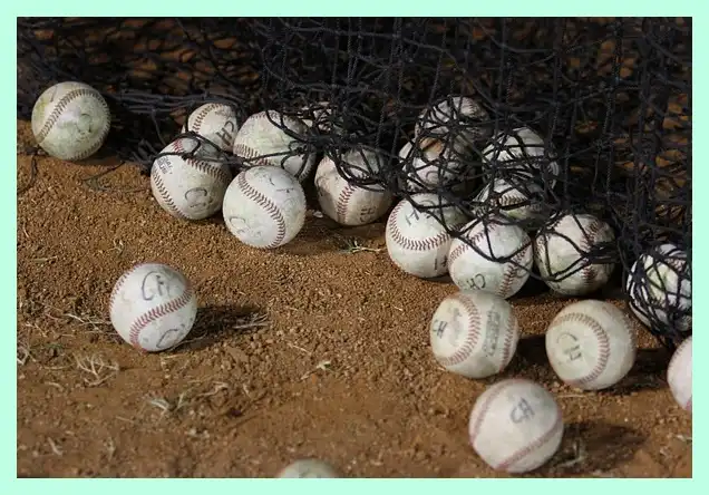 야구 프리미어 12 명단 최종