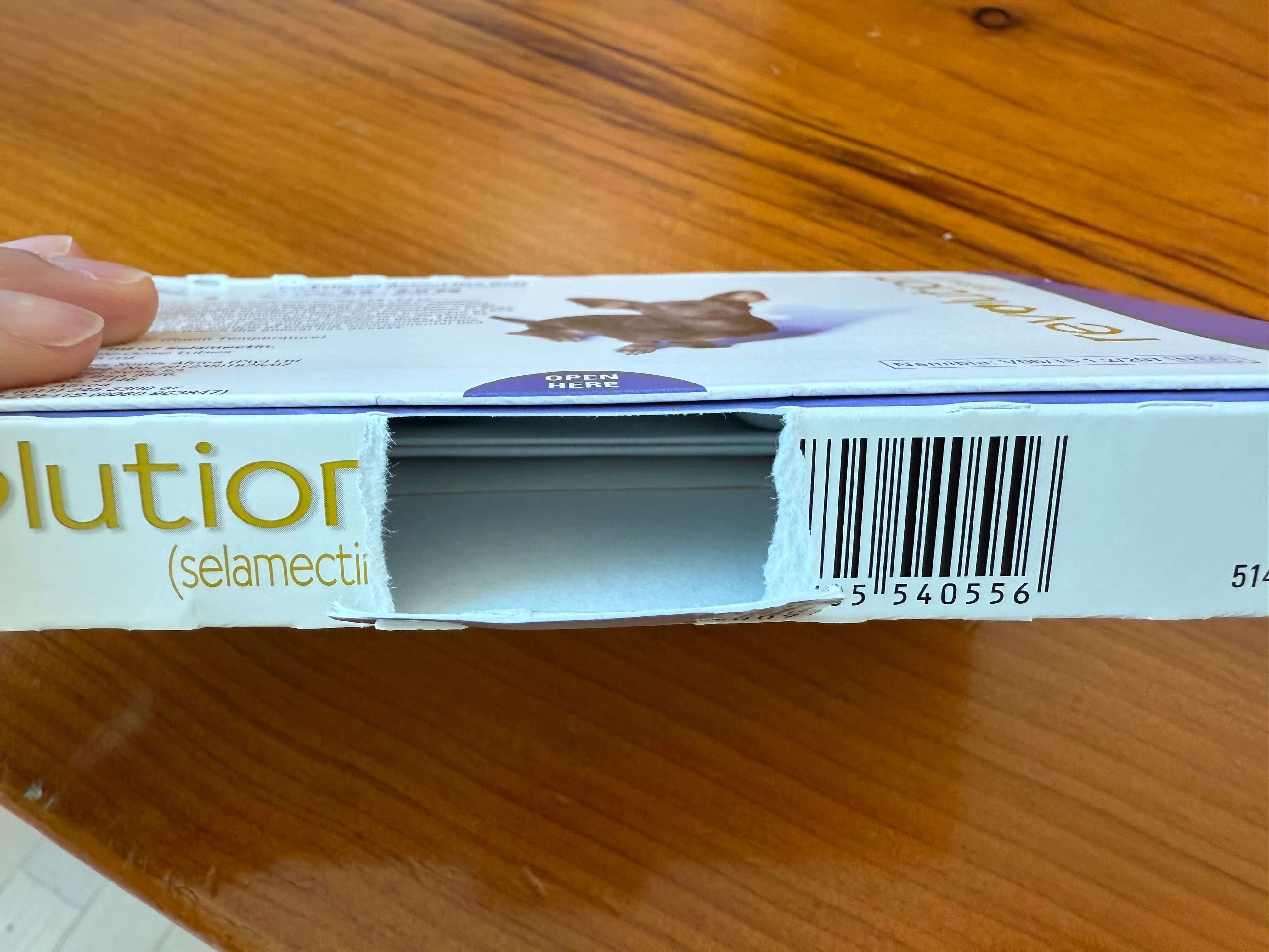 레볼루션 강아지