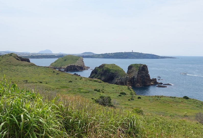제주도 바다 사진