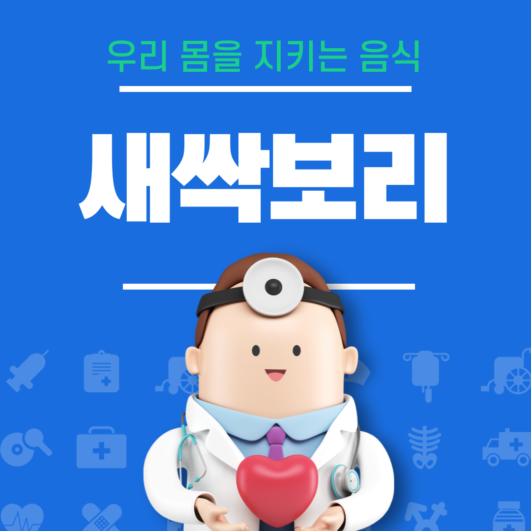 슈퍼푸드 새싹보리 효능